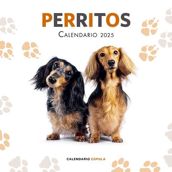 CALENDARIO PERRITOS 2025 | 9788448041649 | VVAA