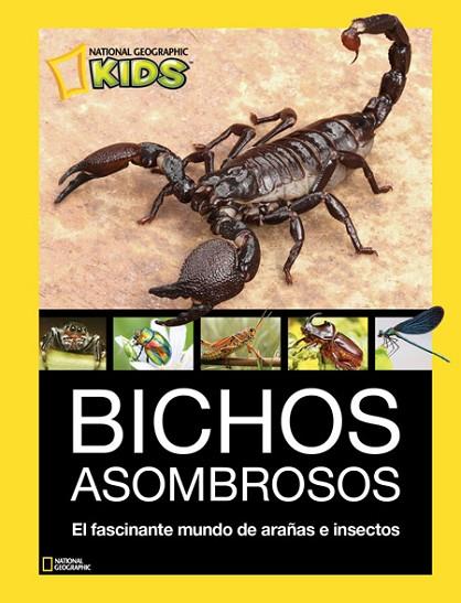 BICHOS ASOMBROSOS | 9788482986098 | VVAA