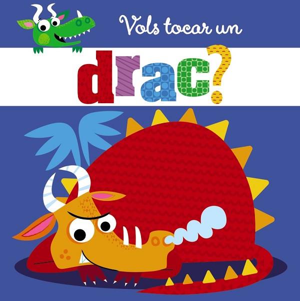 VOLS TOCAR UN DRAC? | 9788499069357 | VVAA