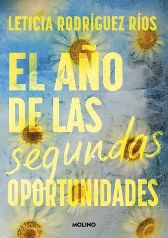 EL AÑO DE LAS SEGUNDAS OPORTUNIDADES | 9788427242807 | LETICIA RODRIGUEZ RIOS