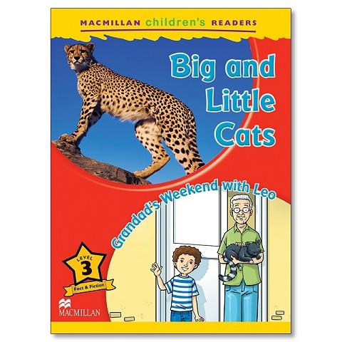 BIG AND LITTLE CATS | 9780230469211 | DEGNAN-VENESS