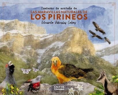 CUADERNO DE MONTAÑA DE LAS MARAVILLAS NATURALES DE LOS PIRINEOS | 9788491586036 | EDUARDO VIÑUALES COBOS