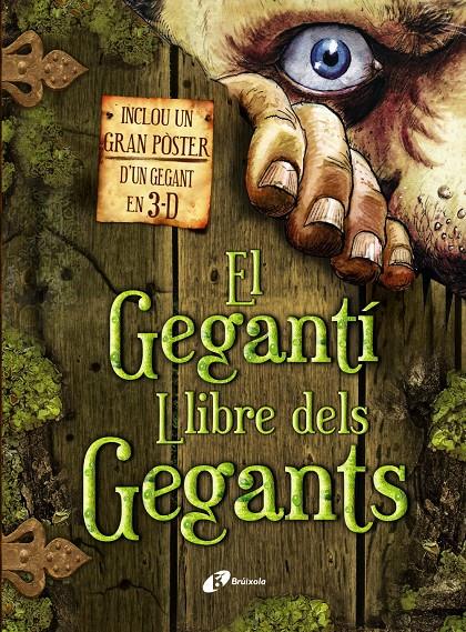 EL GEGANTI LLIBRE DELS GEGANTS | 9788499061191 | VV.AA.