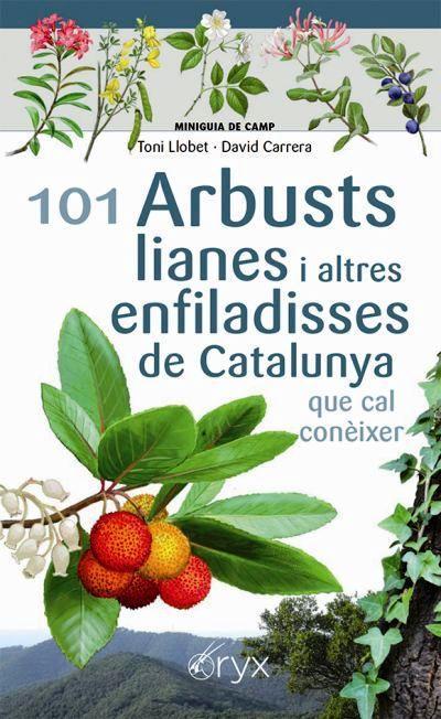 101 ARBUSTS LIANES I ALTRES ENFILADISSES DE CATALUNYA | 9788413560397 | TONI LLOBET FRANÇOIS & DAVID CARRERA BONET