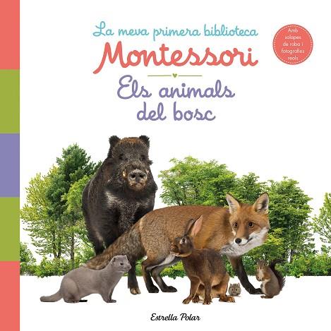 Els animals del bosc. La meva primera biblioteca Montessori | 9788413890159 | VVAA