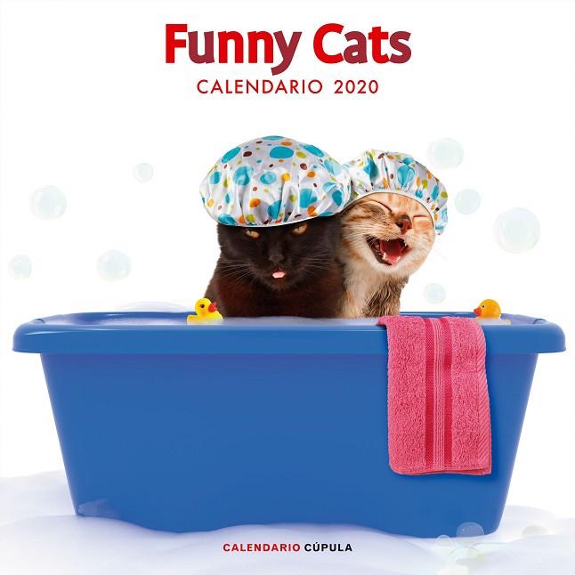 CALENDARIO FUNNY CATS 2020 | 9788448026141 | VVAA