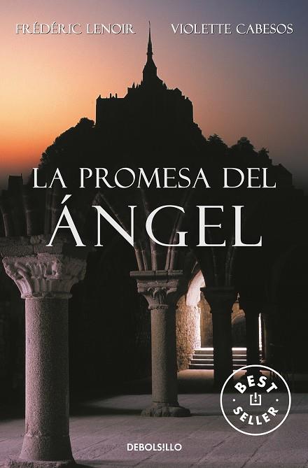 PROMESA DEL ANGEL, LA | 9788483460214 | Frederic Lenoir