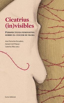 CICATRIUS INVISIBLES | 9788497665643 | PORROCHE ESCUDERO, ANA/COLL PLANAS, GERARD/RIBA SANMARTÍ, CATERINA