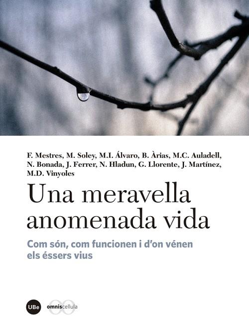 Una meravella anomenada vida : com són, com funcionen i d'on vénen els éssers vius | 9788447540310 | VARIOS AUTORES