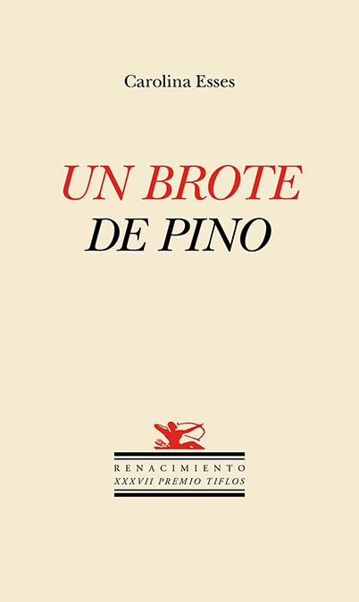 Un brote de pino | 9788410148437 | CAROLINA ESSES