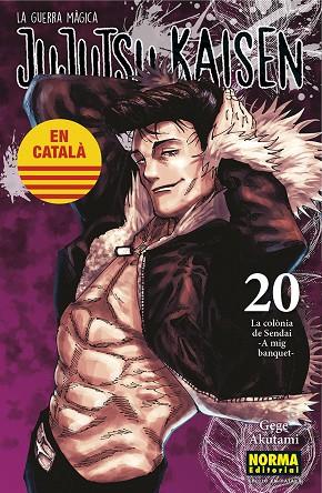 JUJUTSU KAISEN 20 CATALA | 9788467969924 | GEGE AKUTAMI