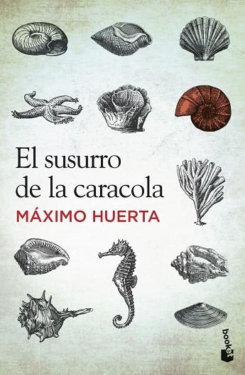 EL SUSURRO DE LA CARACOLA | 9788427030251 | HUERTA, MAXIM