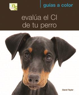 EVALUA EL CI DE TU PERRO | 9788493662622 | TAYLOR, DAVID