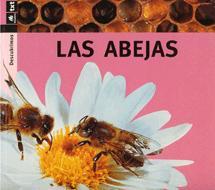 LAS ABEJAS (DESCUBRIMOS) | 9788424607821 | ARANEGA, SUSANNA