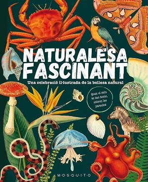 NATURALESA FASCINANT | 9788419095596 | VVAA