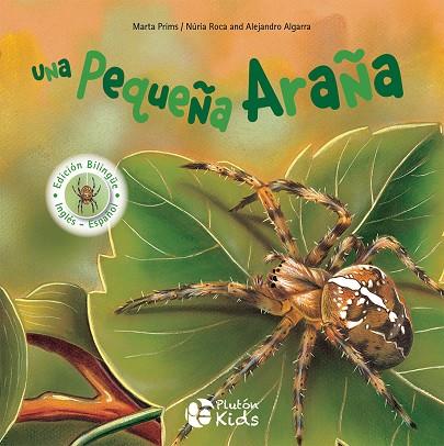 UNA PEQUEÑA ARAÑA | 9788417477493 | NURIA ROCA & ALEJANDRO ALGARRA