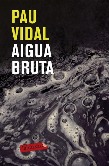 AIGUA BRUTA | 9788499301228 | VIDAL, PAU