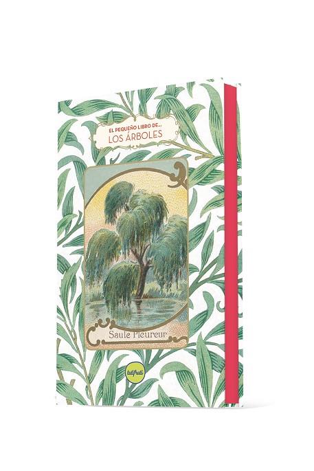 EL PEQUEñO LIBRO DE LOS ARBOLES | 9788412795677 | DOMINIQUE PEN DU