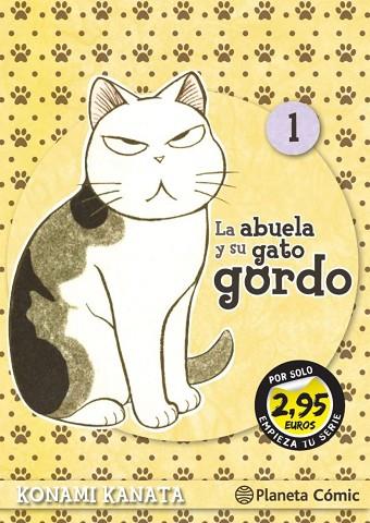 SM La abuela y su gato gordo 01 | 9788411122603 | KONAMI KANATA