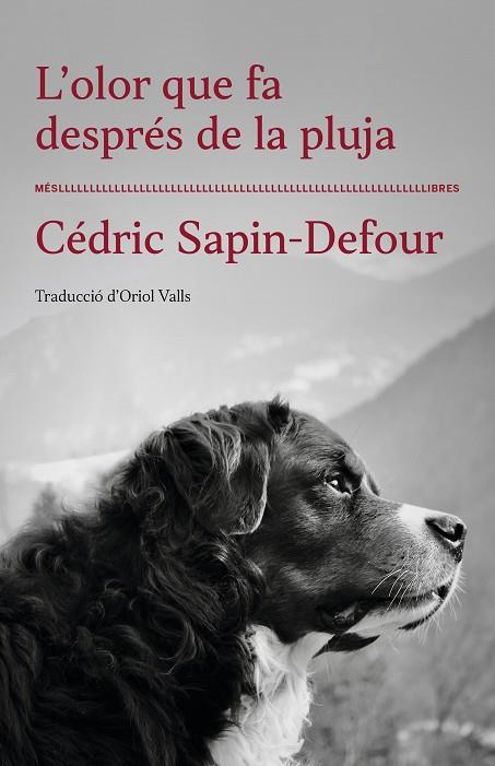 L'OLOR QUE FA DESPRÉS DE LA PLUJA | 9788417353568 | CEDRIC SAPIN-DEFOUR