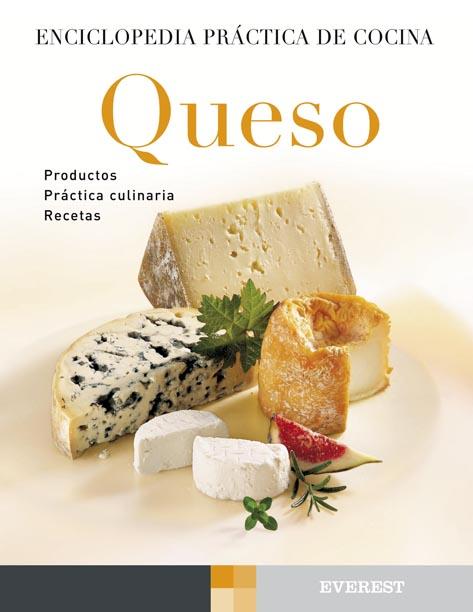 QUESO: ENCICLOPEDIA PRACTICA DE COCINA | 9788424188191 | CHRISTIAN TEUBNER