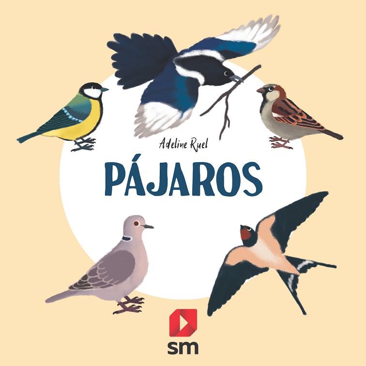 Pájaros | 9788413188607 | VVAA