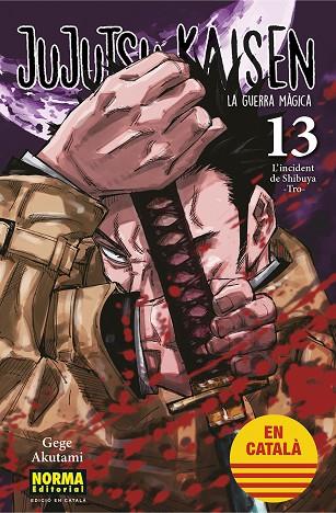 JUJUTSU KAISEN 13 | 9788467957679 | GEGE AKUTAMI