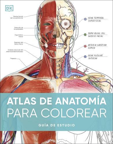 Atlas de anatomia para colorear | 9780241703090 | DK