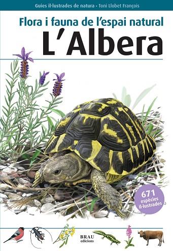 L'ALBERA | 9788496905559 | Diversos