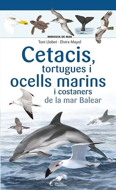 CETACIS TORTUGUES I OCELLS MARINS I COSTANERS DE LA MAR BALEAR | 9788413562735 | TONI LLOBET & ELVIRA MAYOL