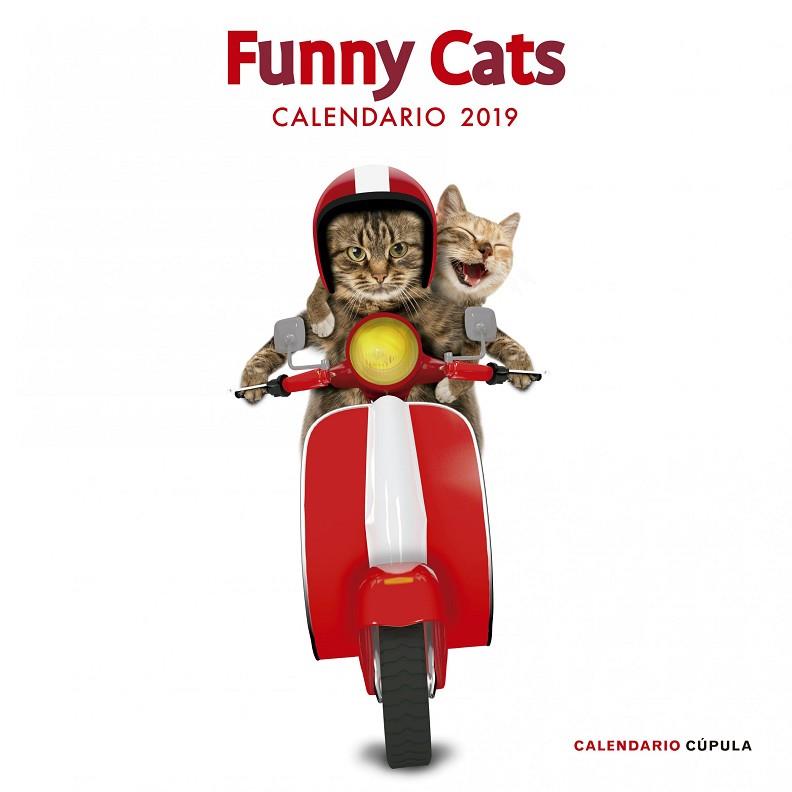 FUNNY CATS CALENDARIO 2019 | 9788448024628 | VVAA