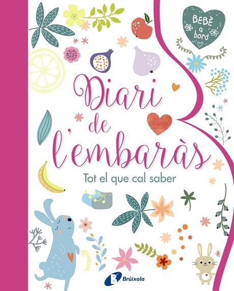 DIARI DE L'EMBARAS  TOT EL QUE CAL SABER | 9788499067797 | VVAA