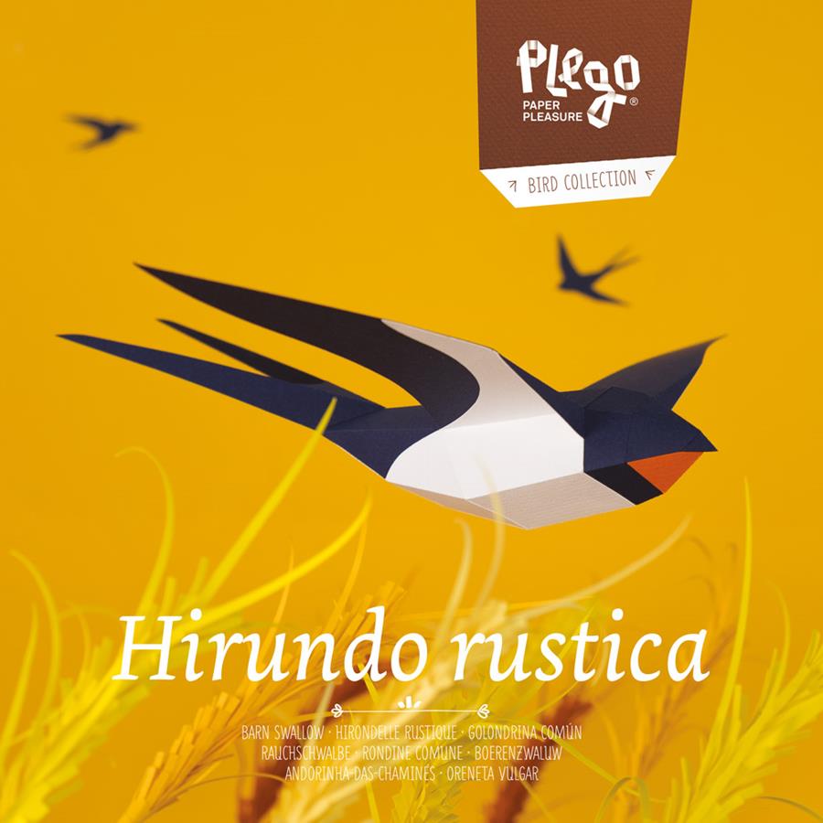 PLEGO HIRUNDO RUSTICA | 8436043720339 | PLEGO