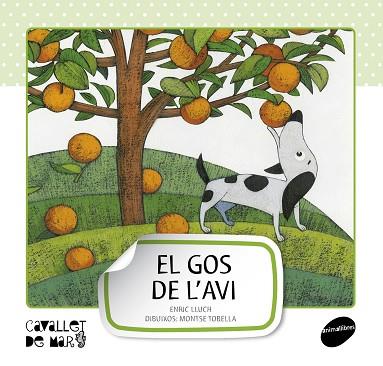 EL GOS DE L' AVI | 9788415095507 | LLUCH/TOBELLA