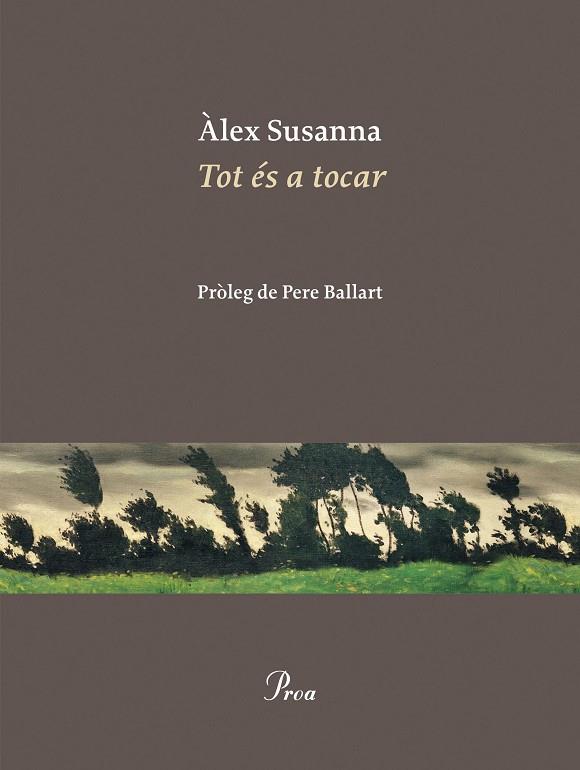 TOT ÉS A TOCAR | 9788410488045 | ALEX SUSANNA NADAL