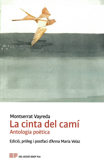 LA CINTA DEL CAMI | 9788418734359 | MONTSERRAT VAYREDA