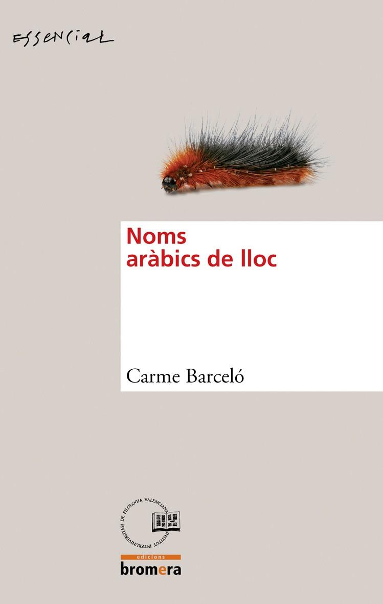 ELS NOMS ARABIC DE LLOC | 9788498246506 | BARCELÓ, CARME