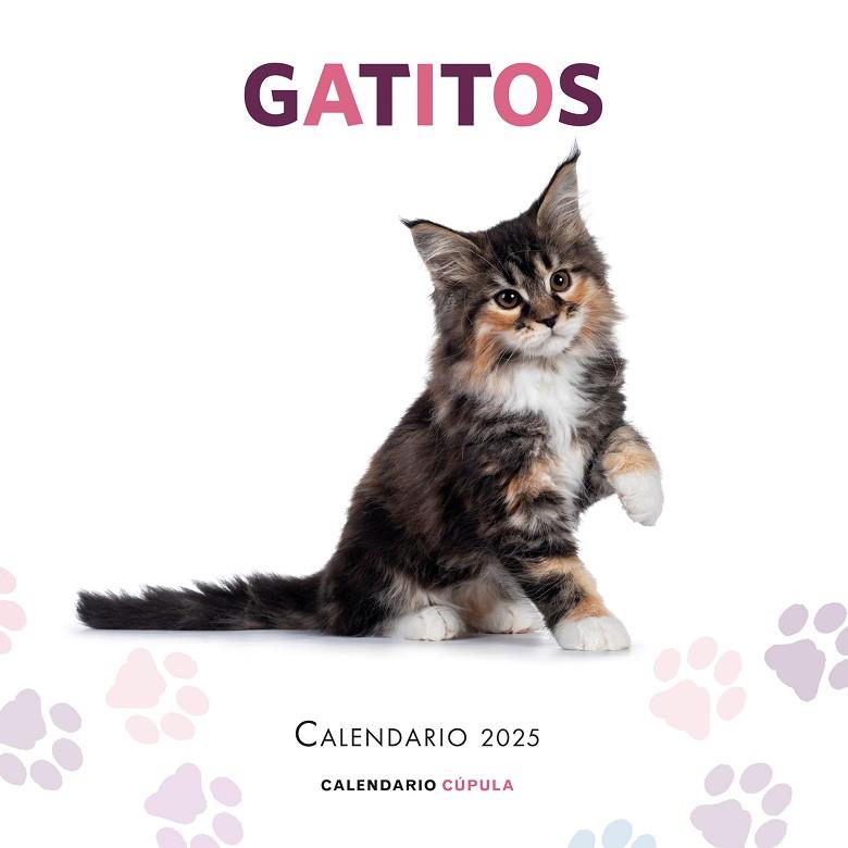 CALENDARIO GATITOS 2025 | 9788448041656 | VVAA