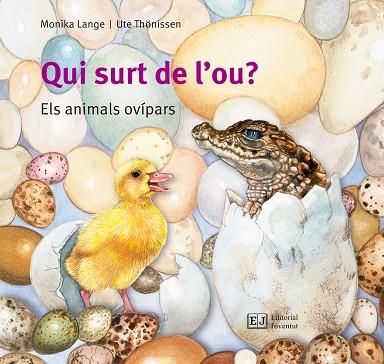 QUI SURT DE L'OU? | 9788426144096 | MONIKA LANGE & UTE THONISSEN