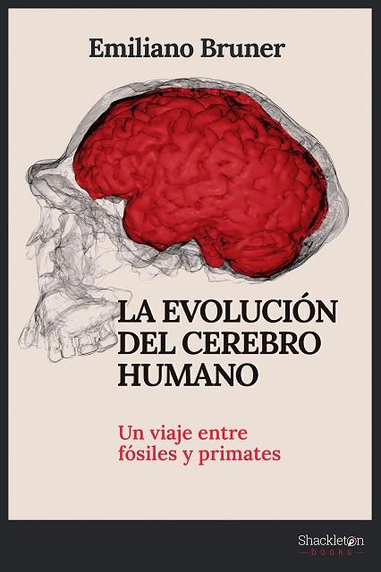 La evolución del cerebro humano | 9788413612249 | EMILIANO BRUNER