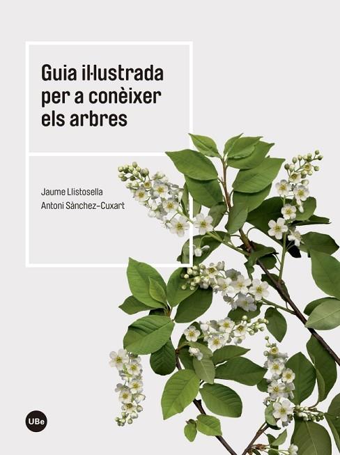 Guia il·lustrada per a conèixer els arbres | 9788447542444 | LLISTOSELLA, Jaume ; SÁNCHEZ-CUXART, Antoni