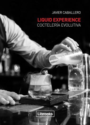 LIQUID EXPERIENCE | 9788494183577 | CABALLERO MORCILLO, JAVIER