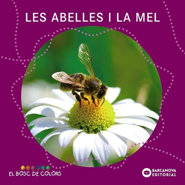 LES ABELLES I LA MEL | 9788448938796 | ESTER BALDÓ & ROSA GIL & MARIA SOLIVA