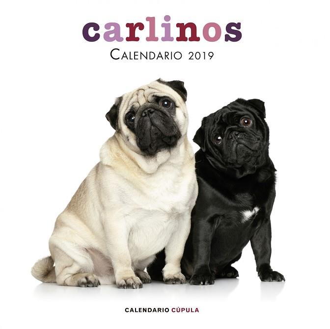 CARLINOS CALENDARIO 2019 | 9788448024680 | VVAA