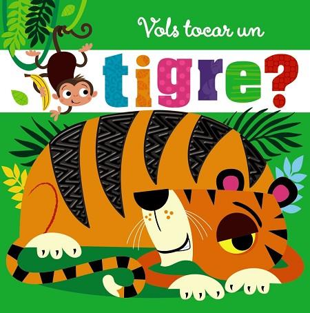 VOLS TOCAR UN TIGRE? | 9788499062624 | VVAA