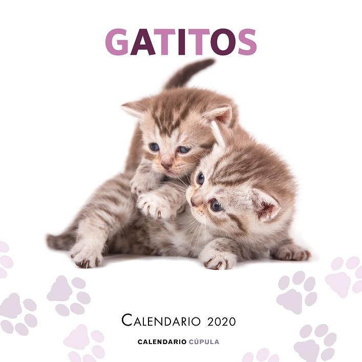 CALENDARIO GATITOS 2020 | 9788448026165 | VVAA