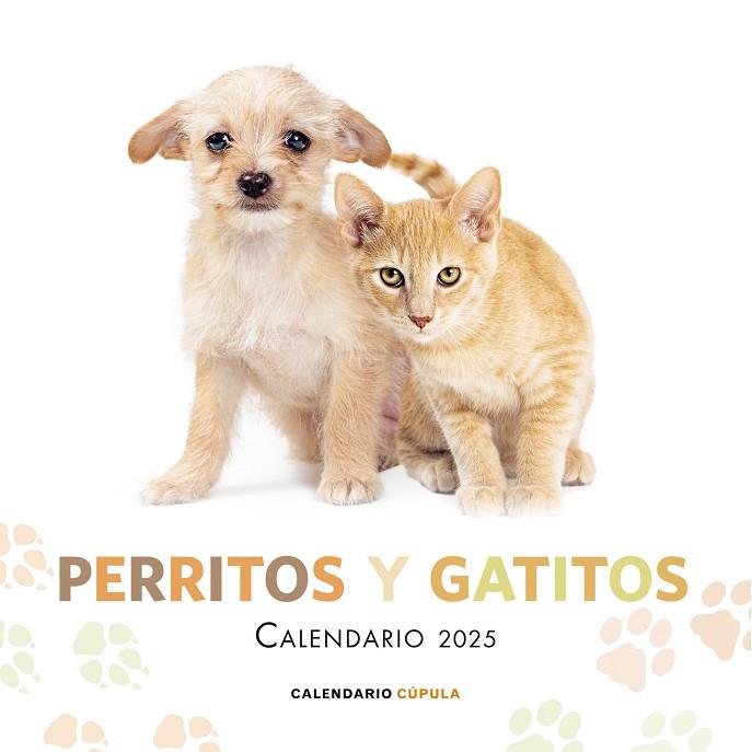 CALENDARIO PERRITOS Y GATITOS 2025 | 9788448041632 | VVAA