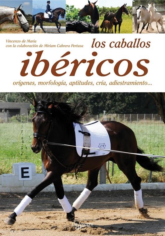 LOS CABALLOS IBERICOS | 9788431541224 | VVAA