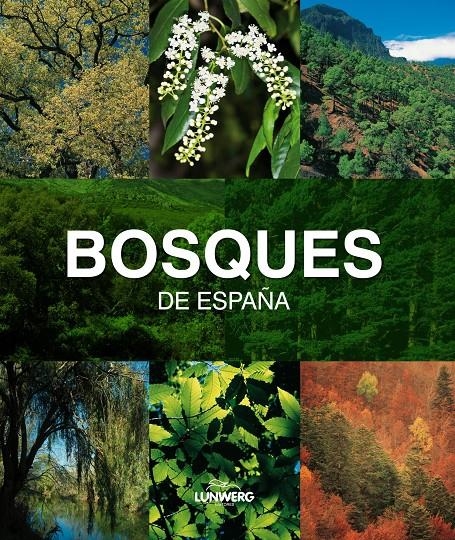 BOSQUES DE ESPAÑA | 9788497857482 | JOAQUÍN ARAÚJO