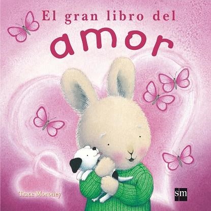 EL GRAN LIBRO DEL AMOR | 9788467548648 | Tracey Moroney